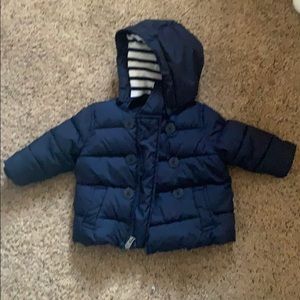 Gap Baby Boy Navy Blue Winter Coat